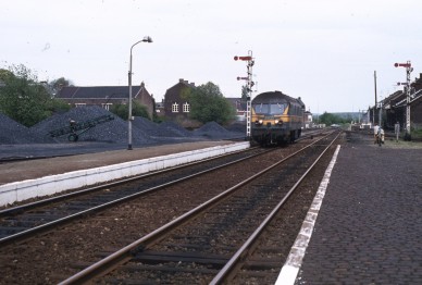 Binche - TH 81-3680.jpg